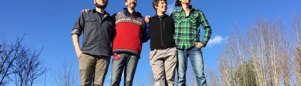 Contradance band Cloud Ten performs high-energy music.